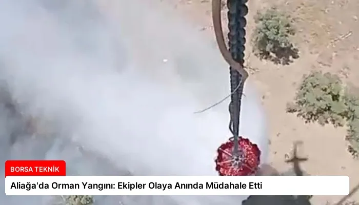 Aliağa’da Orman Yangını: Ekipler Olaya Anında Müdahale Etti