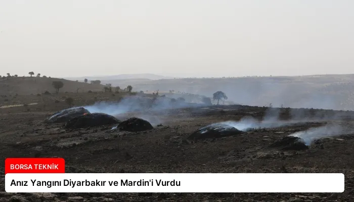 Anız Yangını Diyarbakır ve Mardin’i Vurdu