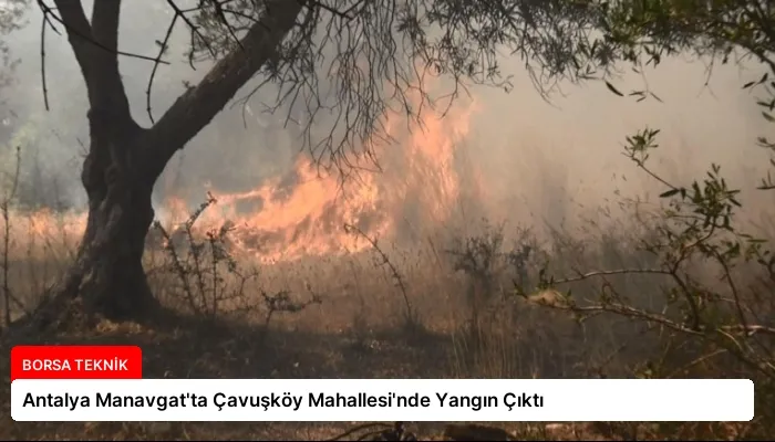 Antalya Manavgat’ta Çavuşköy Mahallesi’nde Yangın Çıktı