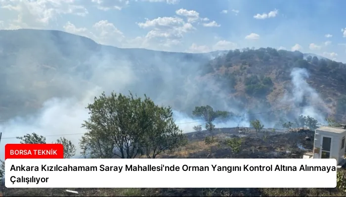 Ankara Kızılcahamam Saray Mahallesi’nde Orman Yangını Kontrol Altına Alınmaya Çalışılıyor