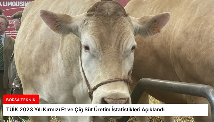 TÜİK 2023 Yılı Kırmızı Et ve Çiğ Süt Üretim İstatistikleri Açıklandı