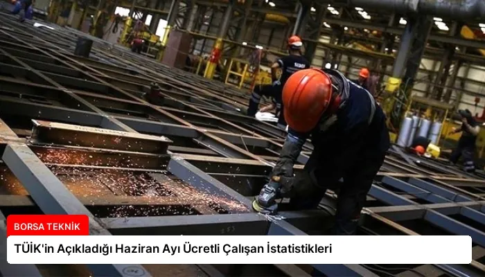 TÜİK’in Açıkladığı Haziran Ayı Ücretli Çalışan İstatistikleri