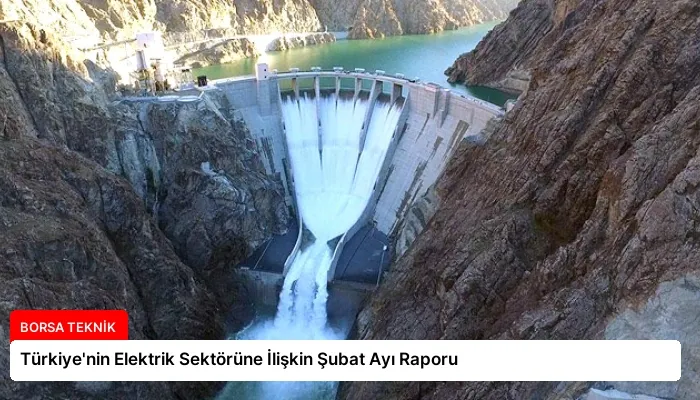 Türkiye’nin Elektrik Sektörüne İlişkin Şubat Ayı Raporu
