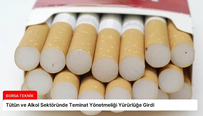 Tütün ve Alkol Sektöründe Teminat Yönetmeliği Yürürlüğe Girdi