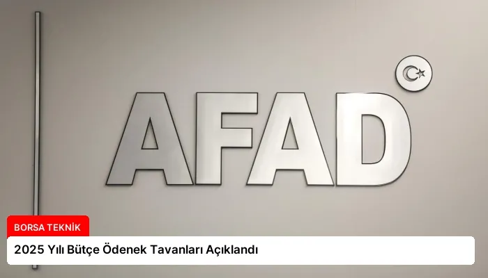 2025 Yılı Bütçe Ödenek Tavanları Açıklandı