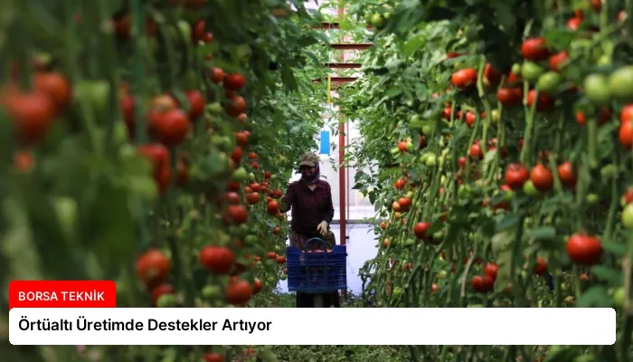 Örtüaltı Üretimde Destekler Artıyor