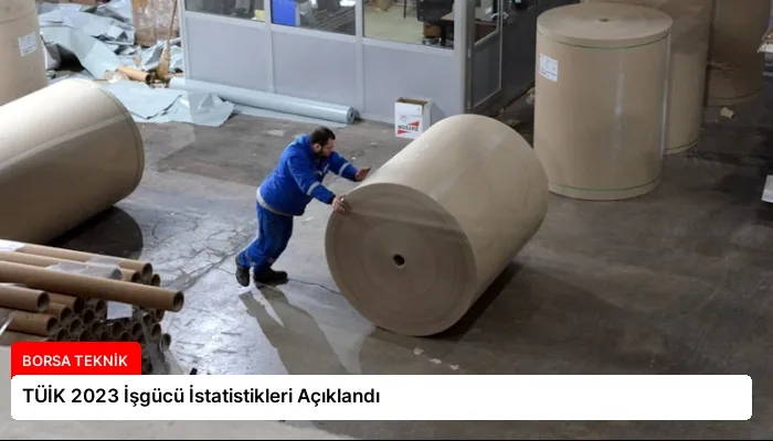 TÜİK 2023 İşgücü İstatistikleri Açıklandı