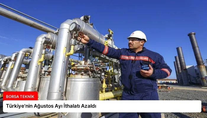 Türkiye’nin Ağustos Ayı İthalatı Azaldı