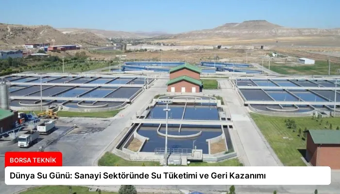 Dünya Su Günü: Sanayi Sektöründe Su Tüketimi ve Geri Kazanımı