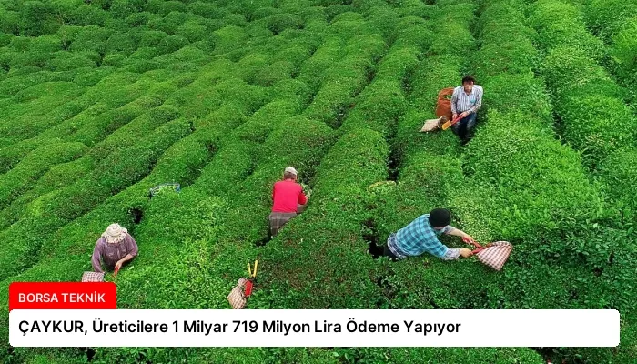 ÇAYKUR, Üreticilere 1 Milyar 719 Milyon Lira Ödeme Yapıyor