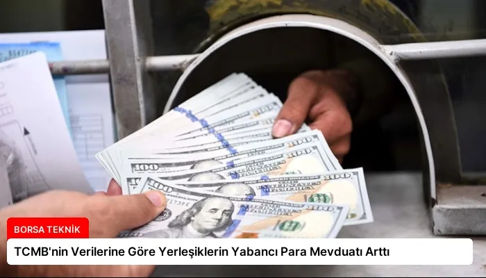 TCMB’nin Verilerine Göre Yerleşiklerin Yabancı Para Mevduatı Arttı