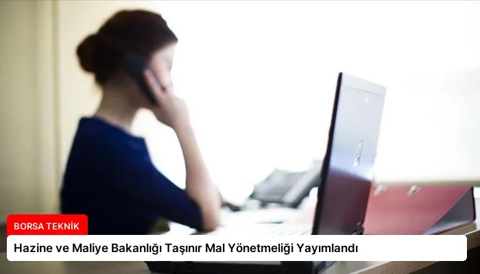 Hazine ve Maliye Bakanlığı Taşınır Mal Yönetmeliği Yayımlandı