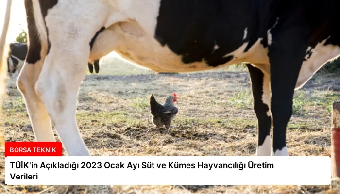 TÜİK’in Açıkladığı 2023 Ocak Ayı Süt ve Kümes Hayvancılığı Üretim Verileri