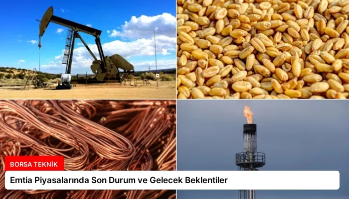 Emtia Piyasalarında Son Durum ve Gelecek Beklentiler