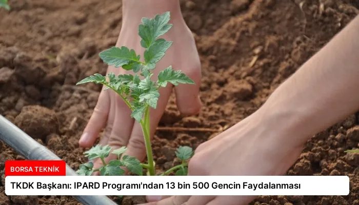 TKDK Başkanı: IPARD Programı’ndan 13 bin 500 Gencin Faydalanması