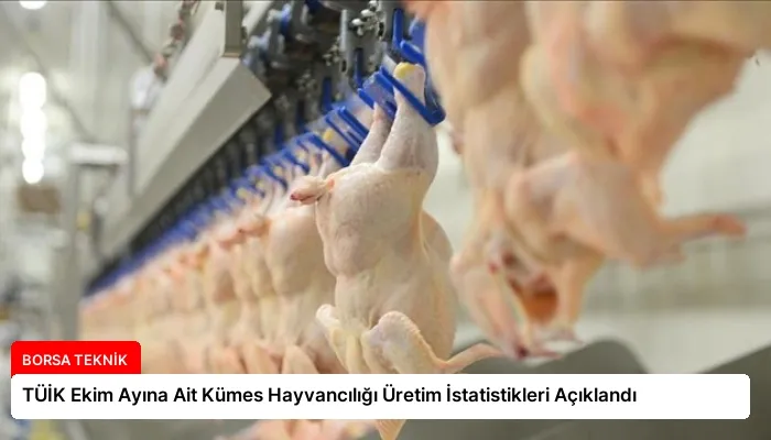 TÜİK Ekim Ayına Ait Kümes Hayvancılığı Üretim İstatistikleri Açıklandı