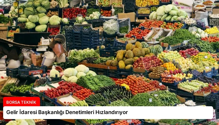 Gelir İdaresi Başkanlığı Denetimleri Hızlandırıyor