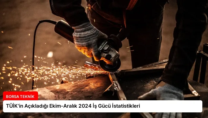 TÜİK’in Açıkladığı Ekim-Aralık 2024 İş Gücü İstatistikleri