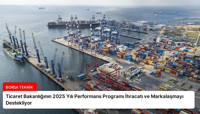 Ticaret Bakanlığının 2025 Yılı Performans Programı İhracatı ve Markalaşmayı Destekliyor
