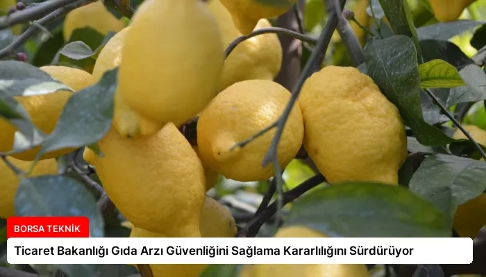 Ticaret Bakanlığı Gıda Arzı Güvenliğini Sağlama Kararlılığını Sürdürüyor