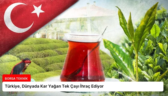 Türkiye, Dünyada Kar Yağan Tek Çayı İhraç Ediyor