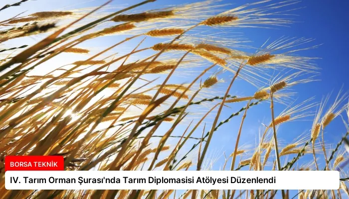 IV. Tarım Orman Şurası’nda Tarım Diplomasisi Atölyesi Düzenlendi
