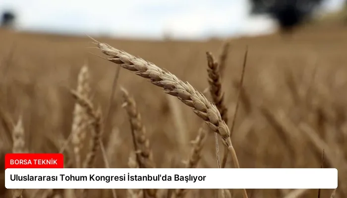 Uluslararası Tohum Kongresi İstanbul’da Başlıyor