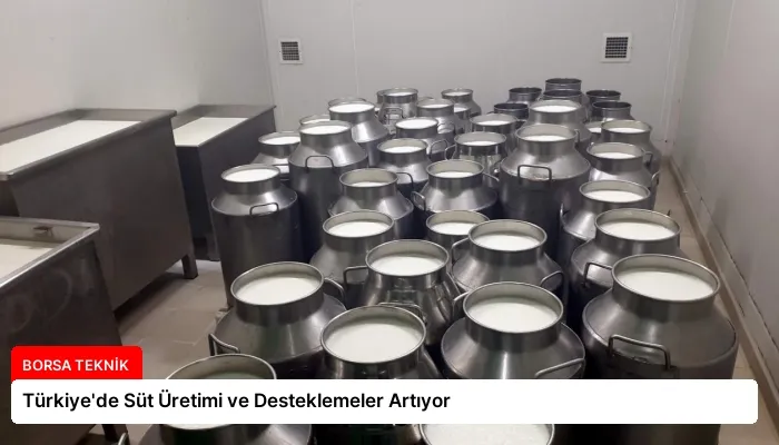 Türkiye’de Süt Üretimi ve Desteklemeler Artıyor