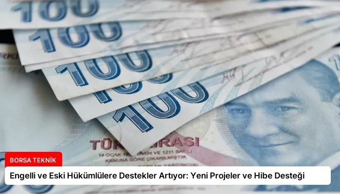 Engelli ve Eski Hükümlülere Destekler Artıyor: Yeni Projeler ve Hibe Desteği