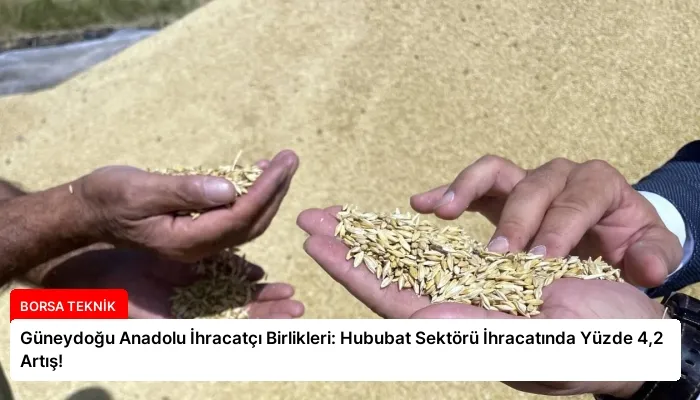Güneydoğu Anadolu İhracatçı Birlikleri: Hububat Sektörü İhracatında Yüzde 4,2 Artış!