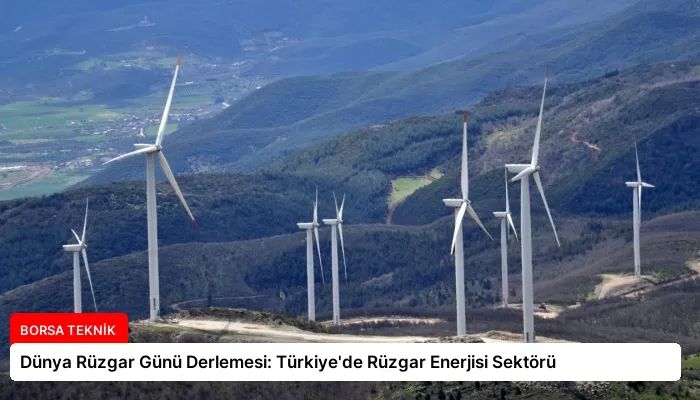 Dünya Rüzgar Günü Derlemesi: Türkiye’de Rüzgar Enerjisi Sektörü