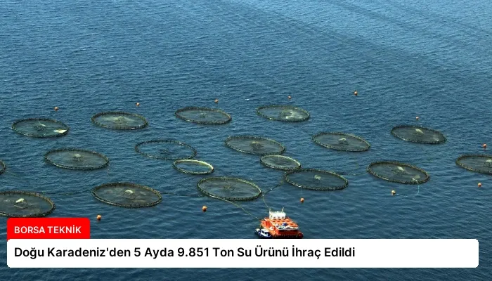 Doğu Karadeniz’den 5 Ayda 9.851 Ton Su Ürünü İhraç Edildi