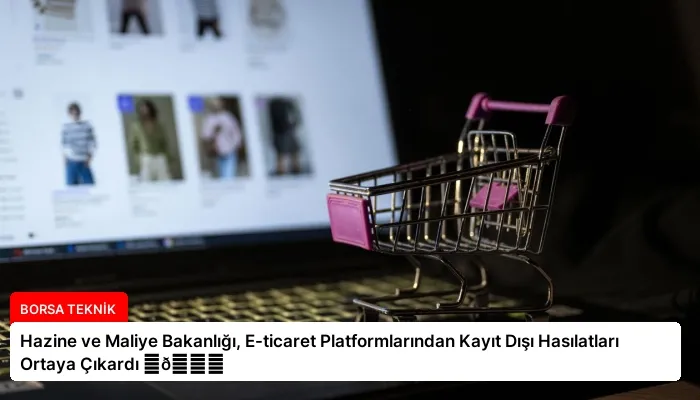 Hazine ve Maliye Bakanlığı, E-ticaret Platformlarından Kayıt Dışı Hasılatları Ortaya Çıkardı ⏬👇