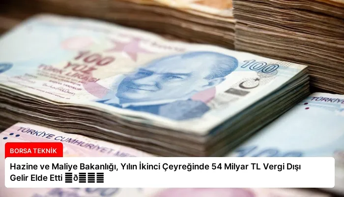 Hazine ve Maliye Bakanlığı, Yılın İkinci Çeyreğinde 54 Milyar TL Vergi Dışı Gelir Elde Etti ⏬👇