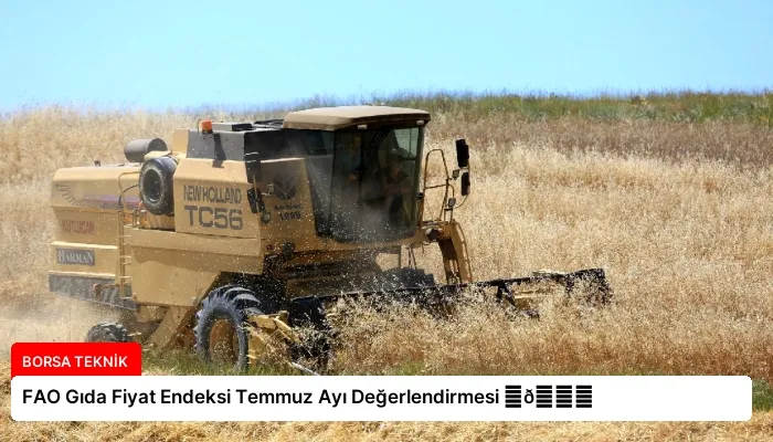 FAO Gıda Fiyat Endeksi Temmuz Ayı Değerlendirmesi ⏬👇