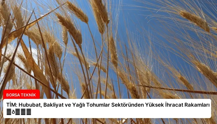 TİM: Hububat, Bakliyat ve Yağlı Tohumlar Sektöründen Yüksek İhracat Rakamları ⏬👇