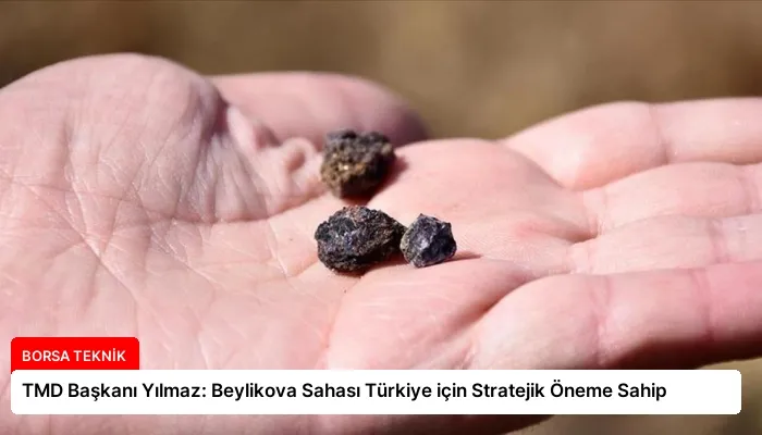 TMD Başkanı Yılmaz: Beylikova Sahası Türkiye için Stratejik Öneme Sahip