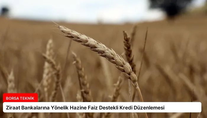 Ziraat Bankalarına Yönelik Hazine Faiz Destekli Kredi Düzenlemesi