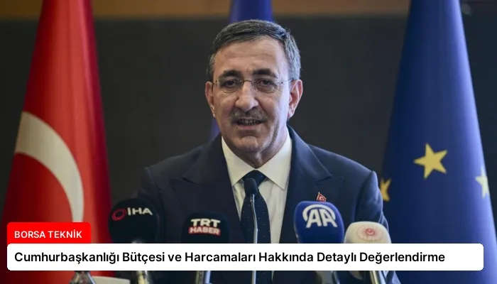 Cumhurbaşkanlığı Bütçesi ve Harcamaları Hakkında Detaylı Değerlendirme