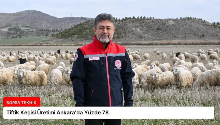 Tiftik Keçisi Üretimi Ankara’da Yüzde 78