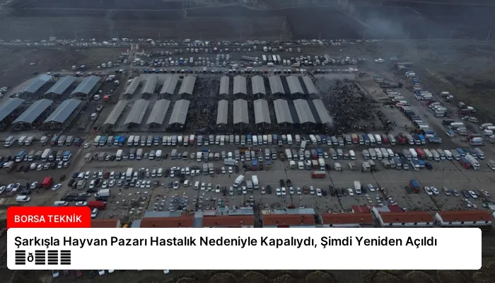 Şarkışla Hayvan Pazarı Hastalık Nedeniyle Kapalıydı, Şimdi Yeniden Açıldı ⏬👇