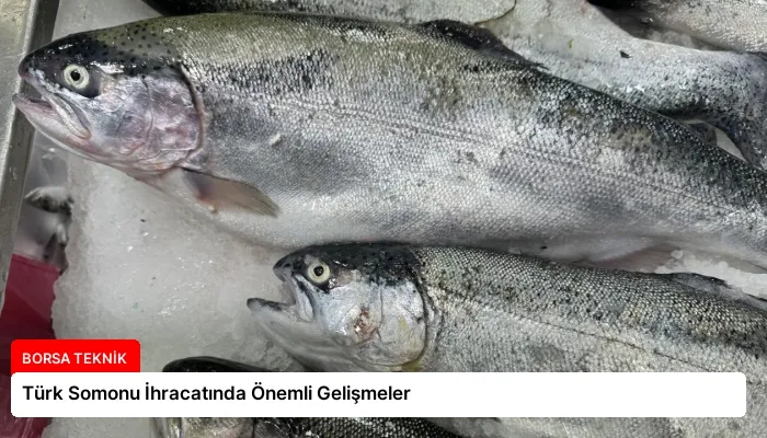Türk Somonu İhracatında Önemli Gelişmeler