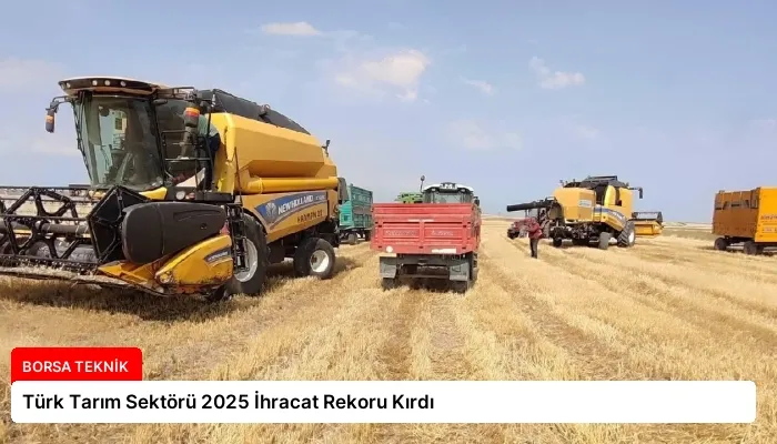 Türk Tarım Sektörü 2025 İhracat Rekoru Kırdı