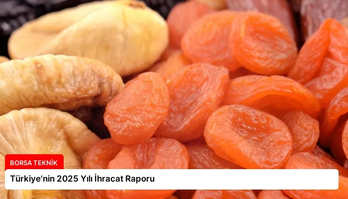 Türkiye’nin 2025 Yılı İhracat Raporu