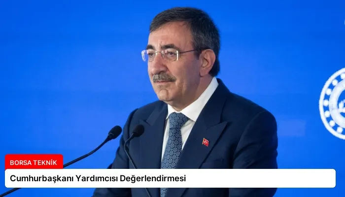 Cumhurbaşkanı Yardımcısı Değerlendirmesi