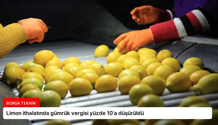 Limon ithalatında gümrük vergisi yüzde 10’a düşürüldü