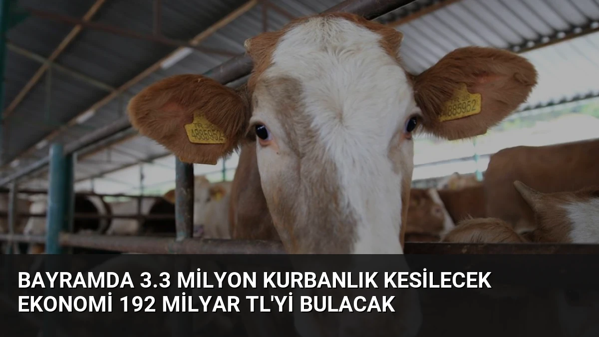 Bayramda 3.3 Milyon Kurbanlık Kesilecek Ekonomi 192 Milyar TL’yi Bulacak