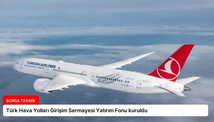 Türk Hava Yolları Girişim Sermayesi Yatırım Fonu kuruldu
