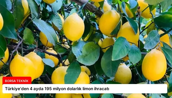 Türkiye’den 4 ayda 195 milyon dolarlık limon ihracatı