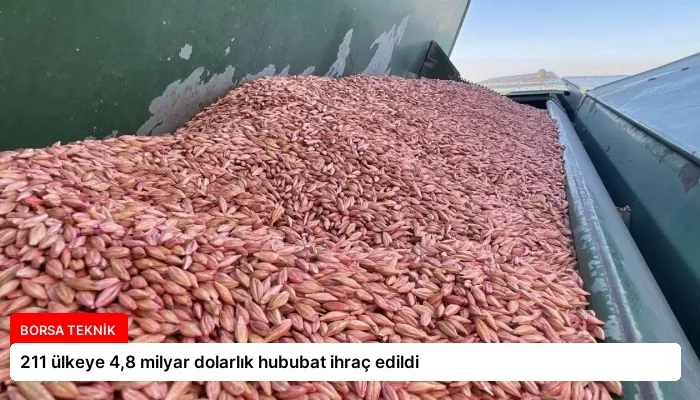 211 ülkeye 4,8 milyar dolarlık hububat ihraç edildi